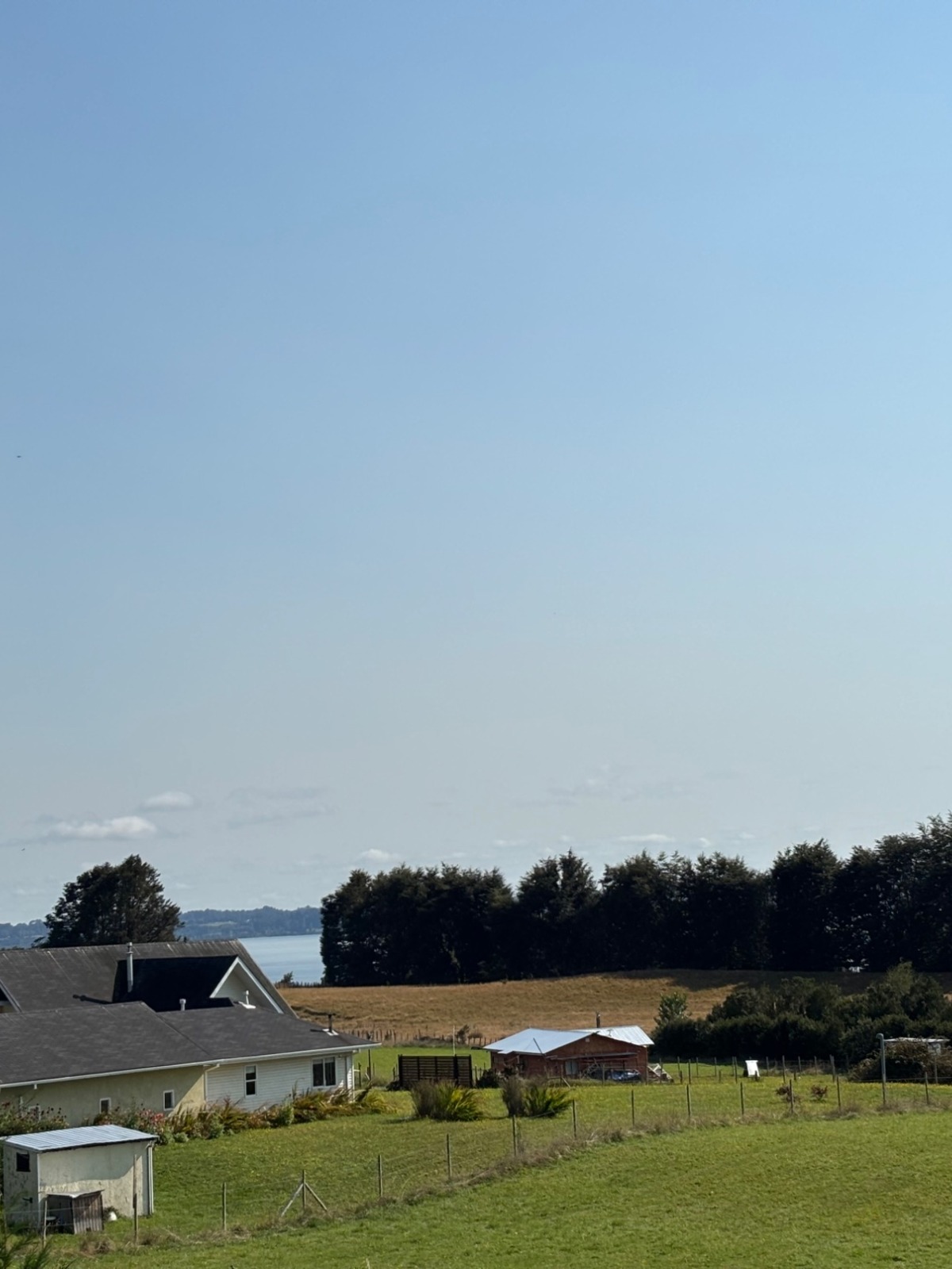 IMG_7829_web