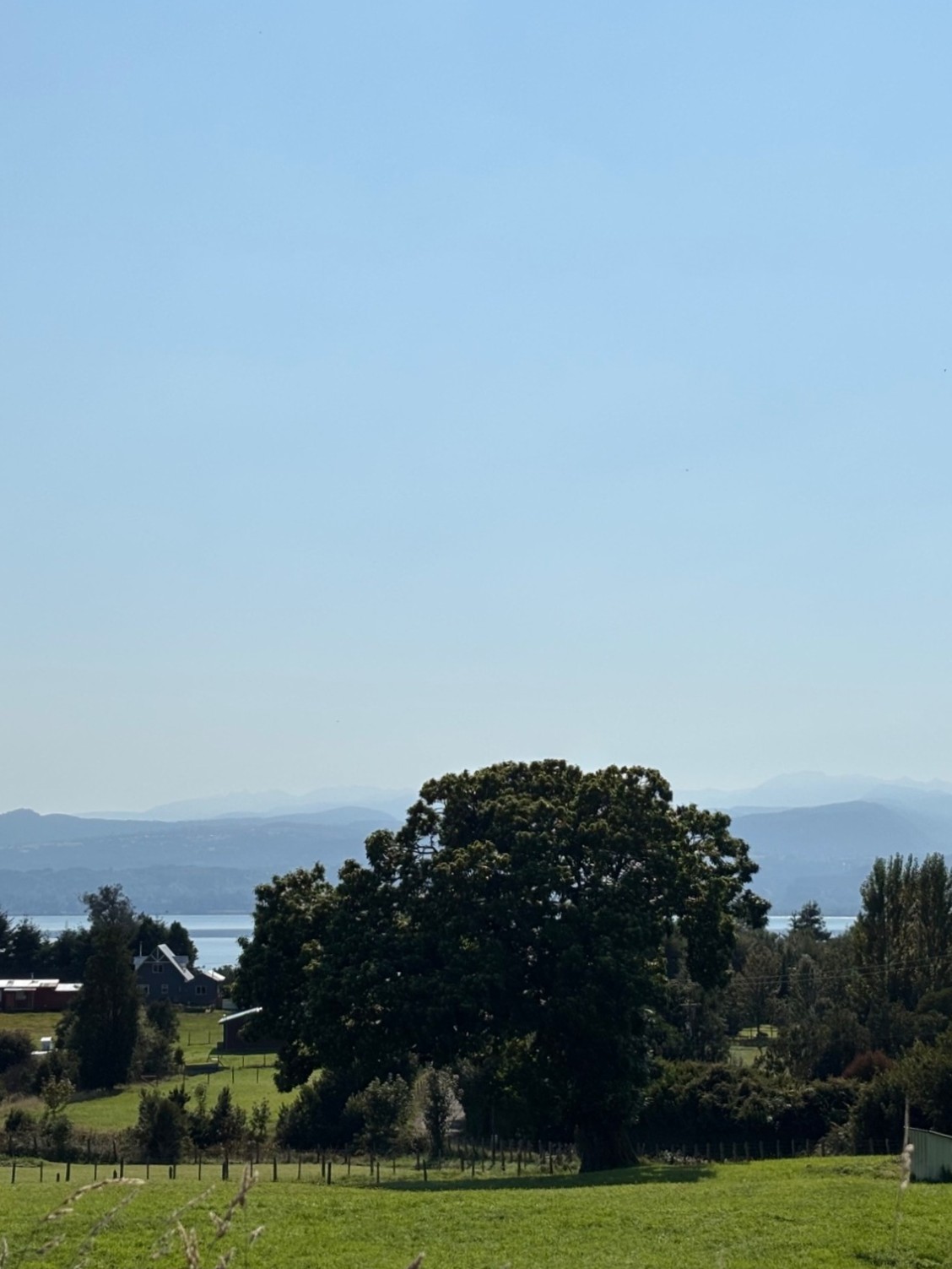 IMG_7846_web