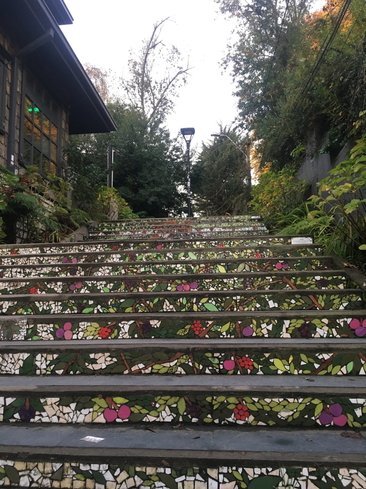 puertovaras_web